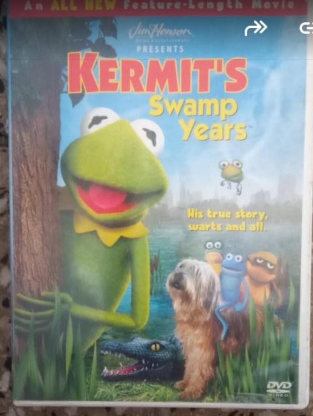 Kermit's Swamp Years DVD - Green